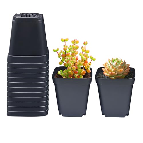 RooTrimmer Square Nursery Pots 3.54Inches 90 Pcs Seedling... - Jardin & Extérieur en promo à 38.00€