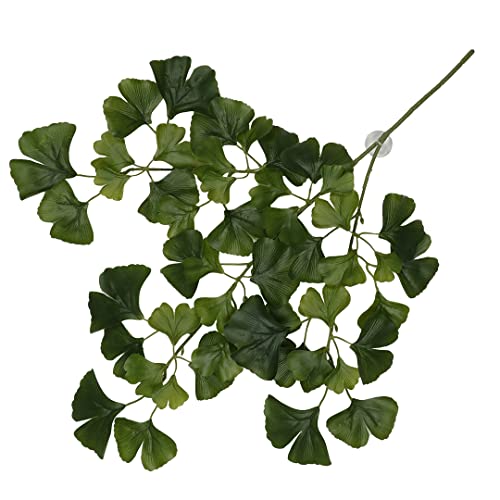Terra Della, Impianto Appeso Ginko 63x36x5cm Verde scuro... - Jardin & Extérieur Amazon Italie à 12.03€