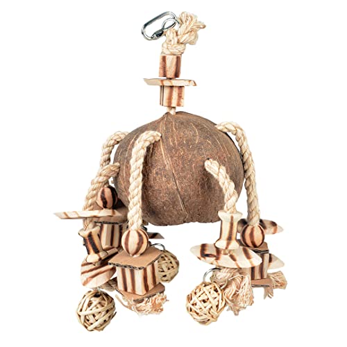 Duvoplus, Coconut Jungle Pendant Willow Balls & Blocks Made... - Sports & Fitness Amazon UK à 16.69€