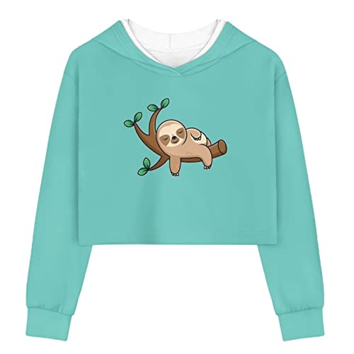 DISNIMO Sudadera corta con capucha para niñas, talla 5-14... - Jouets & Jeux Amazon Espagne à 3.00€