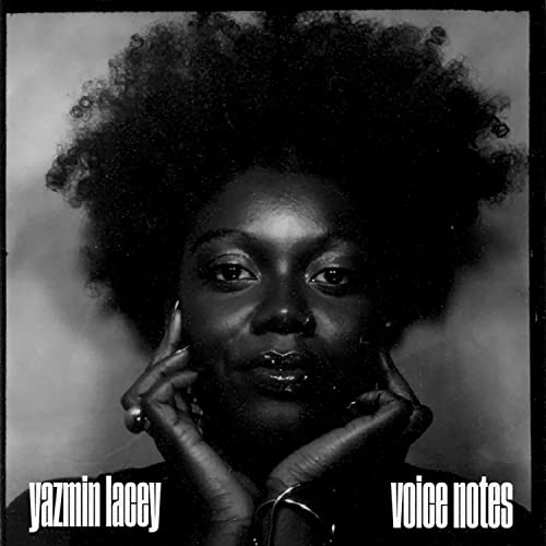 Voice Notes - Musique & Instruments Amazon France à 1.54€