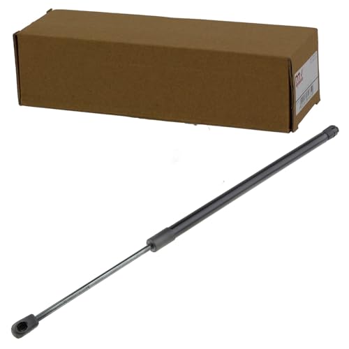 NTY Gasfeder, Koffer-/Laderaum AE-BM-066 - Auto & Moto Amazon Espagne à 5.63€