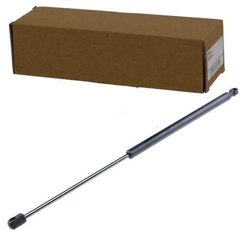 NTY Gasfeder, Koffer-/Laderaum AE-FT-026 - Auto & Moto Amazon Espagne à 4.66€