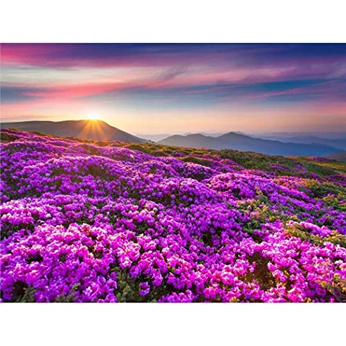 YSCOLOR 5D Diy Diamante Pintura Paisaje Taladro Diamante... - Bricolage & Outils Amazon Espagne à 10.99€