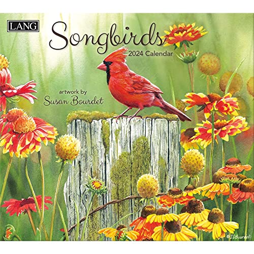 LANG Songbirds™ 2024 Calendario da parete (24991001880)... - Fournitures Bureau Amazon Italie à 5.95€