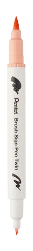 Pentel Brush Sign Pen Twin SESW30C Faserschreiber, 2... - Fournitures Bureau Amazon Allemagne à 2.26€