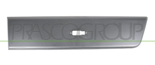 Schutzleiste seitlich Tür hinten links en promo sur Amazon