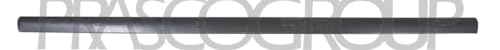 PRASCO Zier-/Schutzleiste, Tür VG0521414 - Auto & Moto Amazon Allemagne à 8.63€