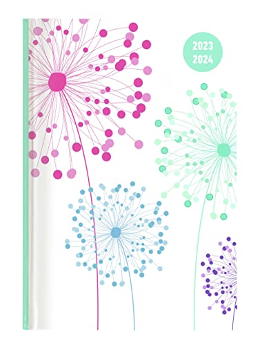 Collegetimer Blowballs 2023/2024 - Schüler-Kalender A5... - Sports & Fitness Amazon Allemagne à 4.65€