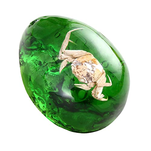 Funrelaxer Pendentif fossile en ambre avec échantillons... - Bricolage & Outils Amazon France à 6.84€