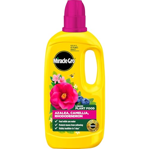 Miracle-Gro 121180 Azelia, Camellia & Rhododendron... - Jardin & Extérieur en promo à 3.97€
