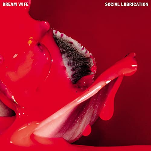 Social Lubrication (Deep Red Vinyl LP Gatefold) [Import] - Animalerie Amazon France à 13.80€