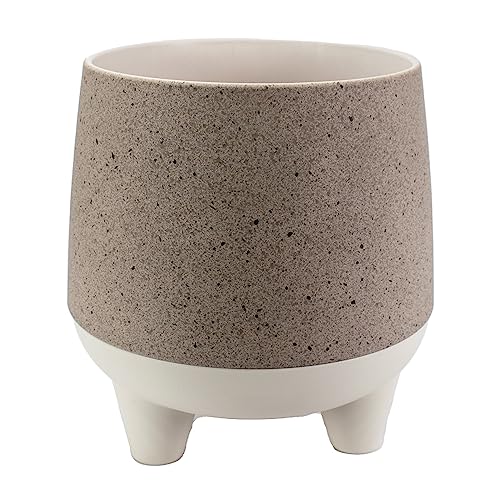 The HC Companies Fioriera, Greige, 6 pollici - Home & Kitchen Amazon Italy à 9.00€
