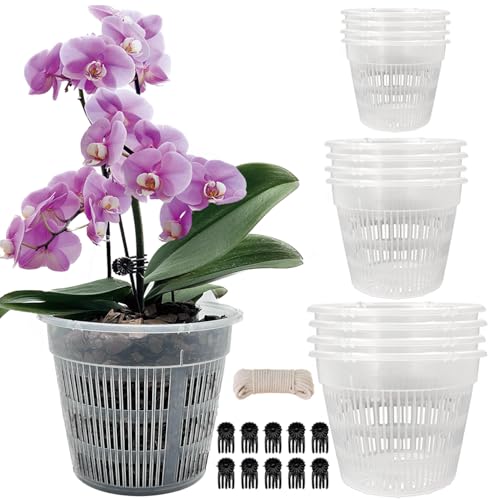 Tialero Orchid Pot, 12 Pack Orchid Pots with Holes, 4 Each... - Jardin & Extérieur Amazon Royaume-Uni à 10.54€
