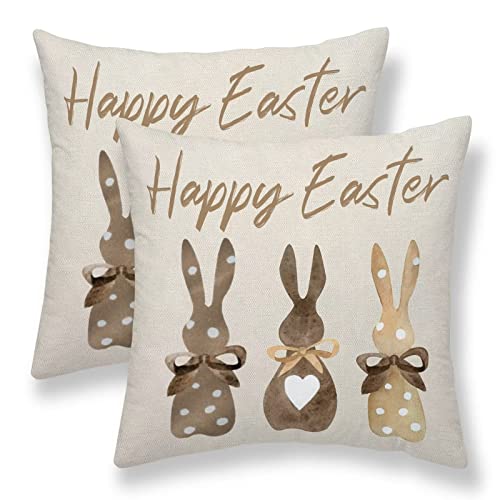 Sunshineyan Lot de 2 Housses de Coussin de Pâques - 45,7 x... - Maison & Cuisine Amazon France à 13.02€