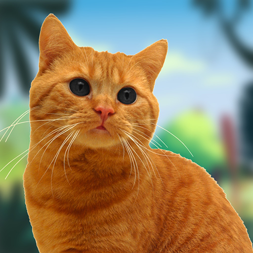 Cute Kitten Cat Simulator 3D - My Virtual Kitten Match Pet... - Pet Supplies Amazon UK à 1.19€