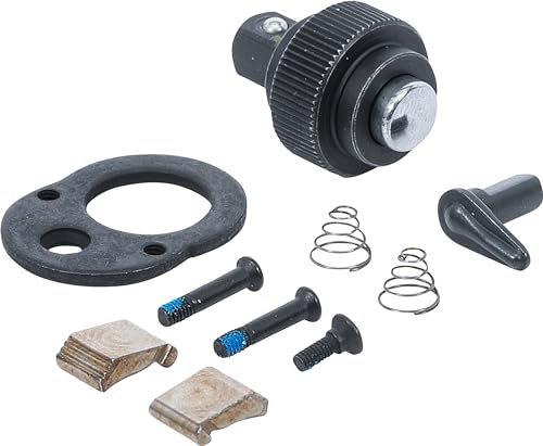 BGS Diy 72115 | Kit de réparation pour tête à cliquet | 6,3... - Bricolage & Outils Amazon France à 8.61€