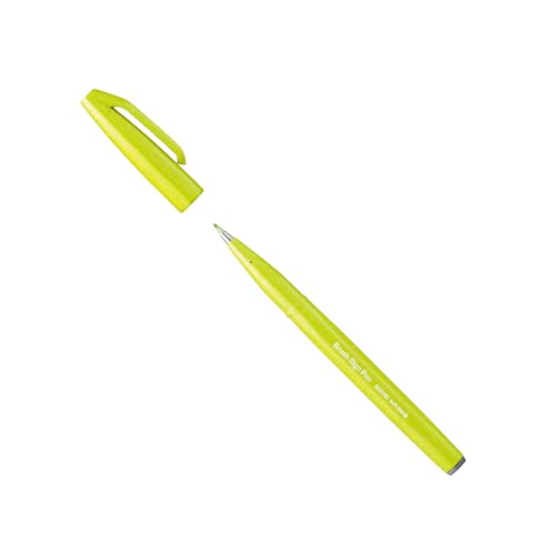 Pentel SES15C-K2X Brush Sign Pen - Penna a sfera, punta... - Beauté & Parfums en promo à 5.88€