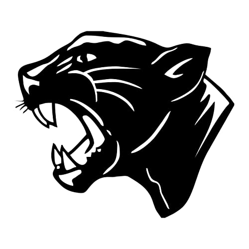 ExpeLIA - Adhesivo preespaciado PanTERA Mod. 6 color negro... - Auto & Moto Amazon Espagne à 2.70€