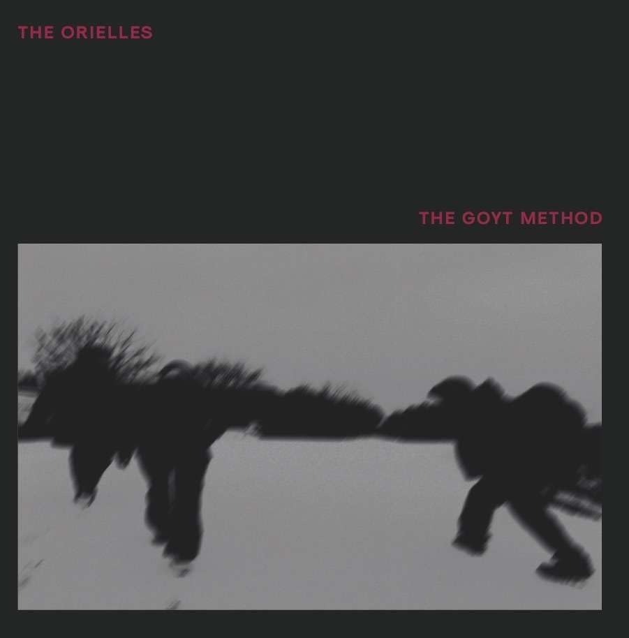 the goyt method - Amazon Italy à 11.93€