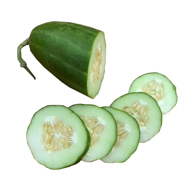 La zappa Semi di carosello piante per orto e giardino... - Jardin & Extérieur Amazon Italie à 1.50€