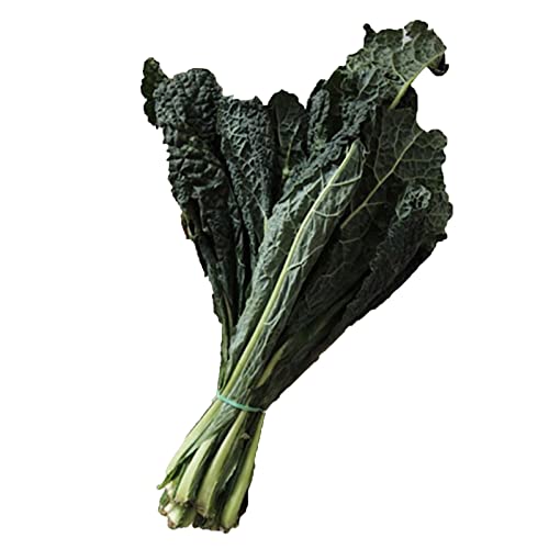 La zappa Semi di Cavolo laciniato nero di Toscana precoce... - Jardin & Extérieur Amazon Italie à 1.50€