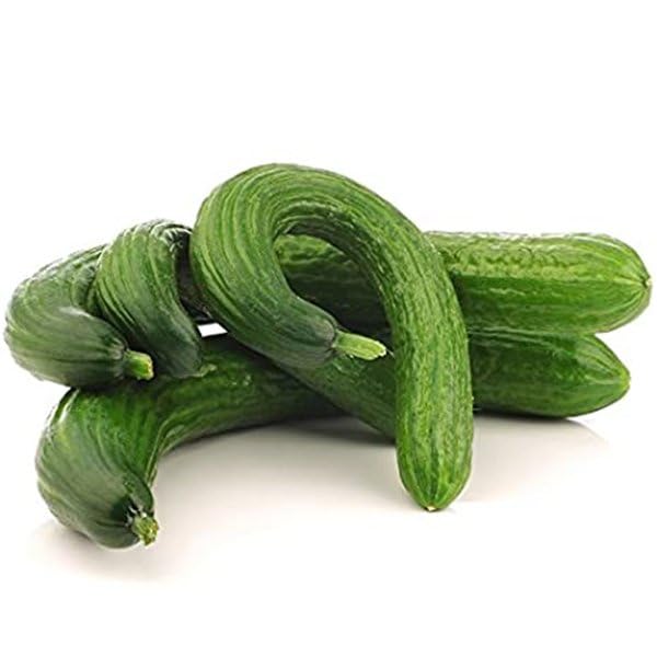 La zappa Semi di cetriolo piante per orto e giardino... - Jardin & Extérieur Amazon Italie à 1.50€