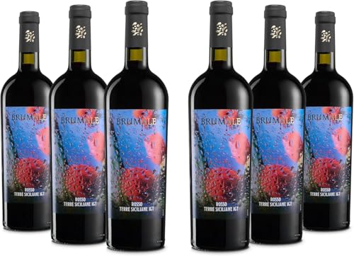 Brumale Rotwein Terre Siciliane IGT, Voller und... - High-Tech & Électronique en promo à 17.49€