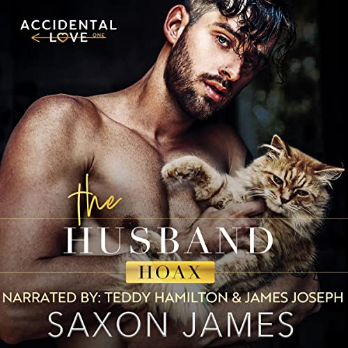 The Husband Hoax: Accidental Love, Book 1 - High-Tech & Électronique Amazon Royaume-Uni à 3.99€