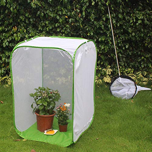 Zuchtkäfig Belüfteter Zuchtkäfig Polyester-Garnnetz Großes... - Sports & Fitness Amazon Allemagne à 4.51€