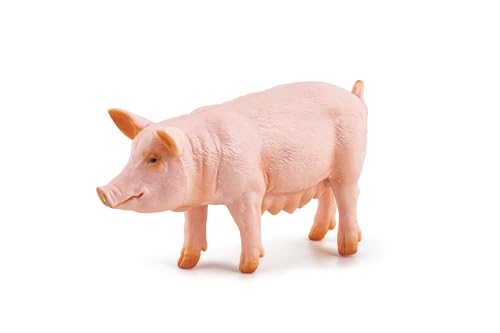 Papo - Figure da collezione - scrofa - 51188 - Animali... - Jouets & Jeux Amazon Italie à 6.21€