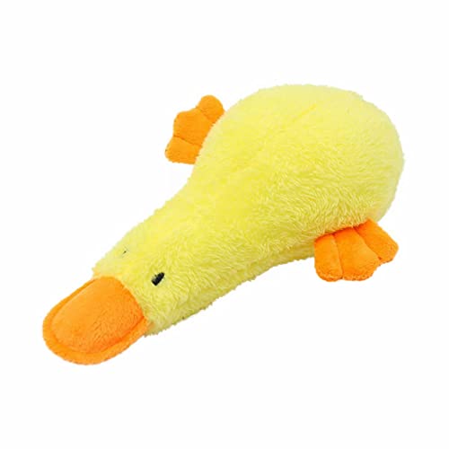 Corlidea Jouet couinant en peluche pour chien - Jouet de... - Jouets & Jeux Amazon France à 3.36€