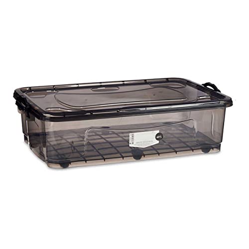 Kipit Scatola, Multicolore, Standard - Animalerie Amazon Italie à 13.42€