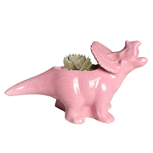 YANGMEI Pink Cute Cartoon Dinosaur Shape Ceramic Succulent... - Jardin & Extérieur Amazon Royaume-Uni à 23.63€