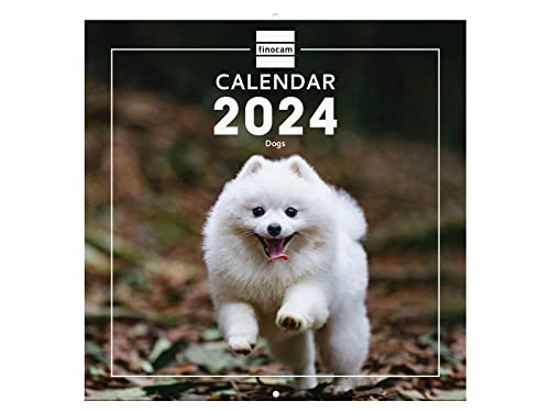 Finocam – Dogs International Wall Photo Calendar 2024... - Pet Supplies Amazon UK à 2.99€
