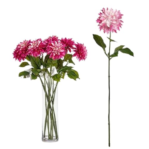 Ibergarden Blume, Standard - Maison & Cuisine Amazon Allemagne à 19.64€