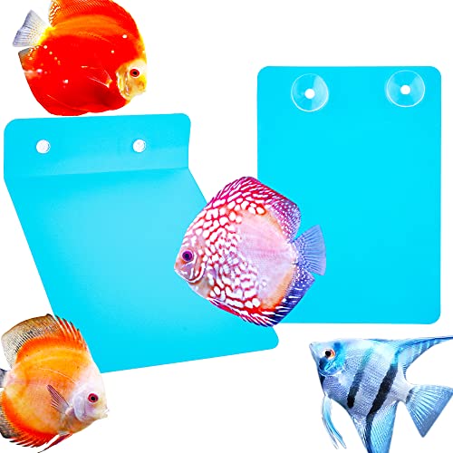 2 Pack Angelfish Discus Breeding Slate, Fish Breeding... - Sports & Fitness Amazon Royaume-Uni à 9.31€