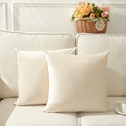 Stellhome Confezione da 2 federe decorative quadrate in... - Maison & Cuisine Amazon Italie à 16.98€