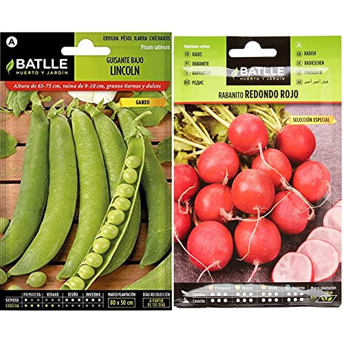 Semillas Batlle Guisante Lincoln Ganxo & Rabanito Red. Rojo... - Sports & Fitness Amazon Espagne à 3.20€