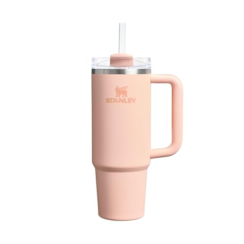 STANLEY Quencher H2.0 Flowstate Trinkflasche Mit Strohhalm... - Maison & Cuisine Amazon Allemagne à 29.99€