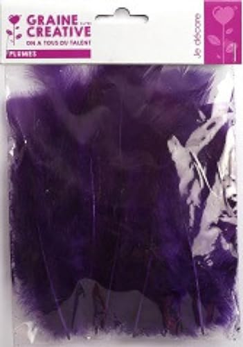 Graine Créative Bustina 5 GR Piume Viola - Loisirs Créatifs Amazon Italie à 1.46€