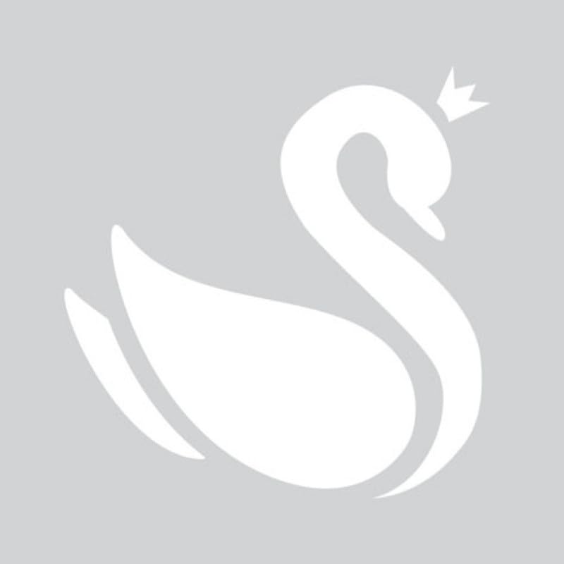 Graine Créative Mini Stencil Cigno - Loisirs Créatifs Amazon Italie à 3.20€