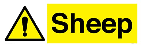 Segno di pecora - 600 x 200 mm - L62 - Fournitures Bureau Amazon Italie à 16.49€