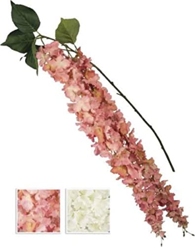 VEA SRL CADENTE M. Fiore Giglio 162cm 50556 - Amazon Italie à 21.35€