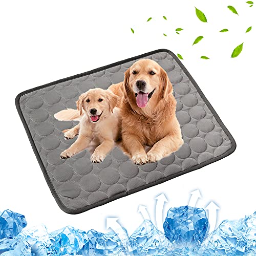 Mateju Dog Cooling Mat, Reusable Pet Cool Mat, Washable... - Animalerie Amazon Royaume-Uni à 1.69€