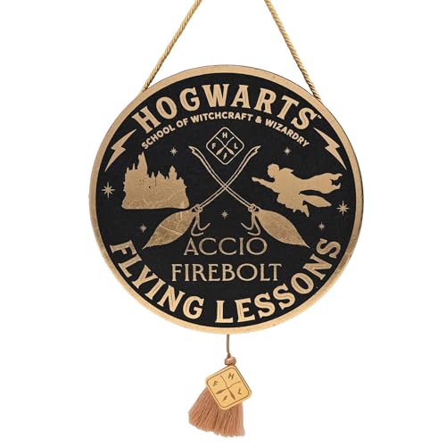 Warner Bros Harry Potter Alumni Ciondolo Lezione di volo - Home & Kitchen Amazon Italy à 7.79€