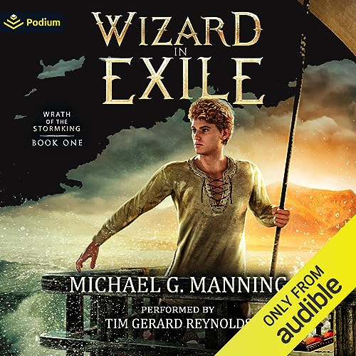 Wizard in Exile: Wrath of the Stormking, Book 1 - Vente Flash Amazon -69%