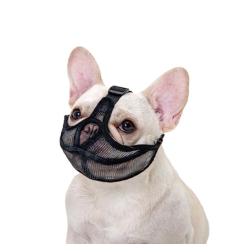 Ohcozzy Bozal Corto para Perro, no Cubre la Frente, bozal... - Home & Kitchen Amazon Spain à 5.79€
