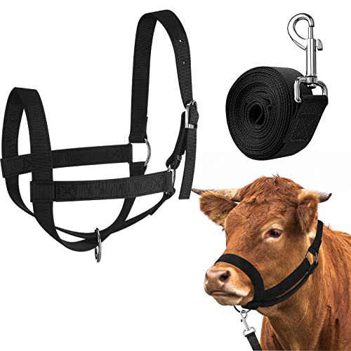 Hillban Adjustable Head Collar with Lead Rope for Horse... - Home & Kitchen Amazon UK à 8.36€