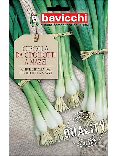 Bavicchi ZCL01 Busta semi Cipolla da cipollotti a mazzi - Jardin & Extérieur Amazon Italie à 2.54€